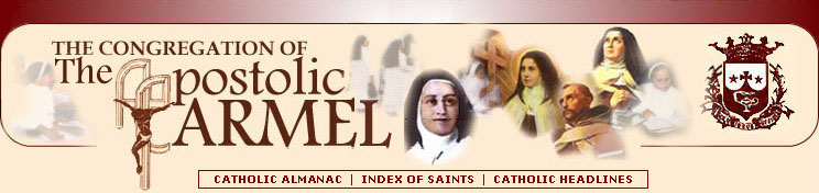 Welcome to the website of the Apostolic Carmel